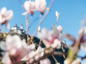 Holiday apartment con 3 camere da letto