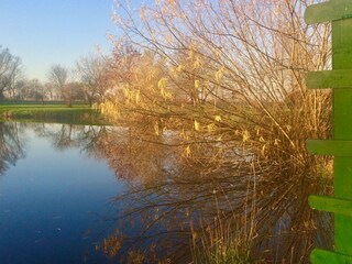 Herbst am "Schwarzen Wehl"