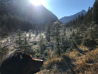 Appartamento per vacanze Oberammergau Ambiente 21