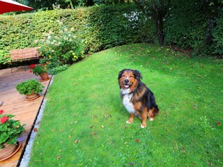 Appartamento per vacanze Oberammergau Registrazione all'aperto 4