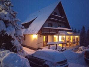 Holiday apartment Tannenzäpfle im Haslehaus - Feldberg in Black Forest - image1