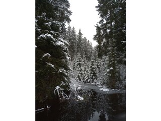 Hiking trail to lake Windgfällweiher