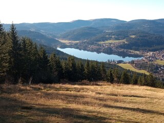 View on hiking trail to Titisee lake