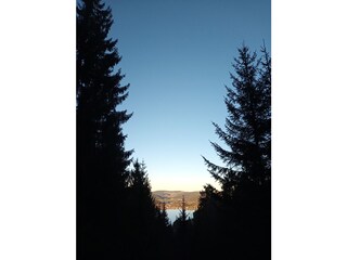 view point Titisee