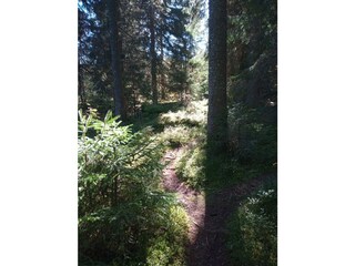 Hiking trail near lake Schluchsee