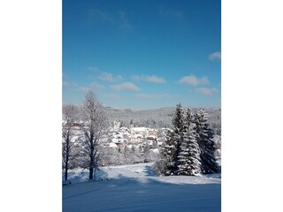 Altglashütten during wintertime