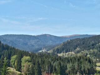 Right in the middle of the Black Forrest, the Feldberg.