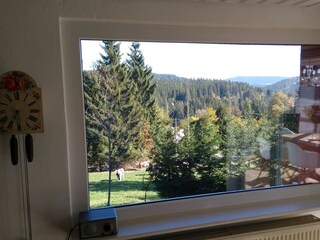 Big window with Black Forest view