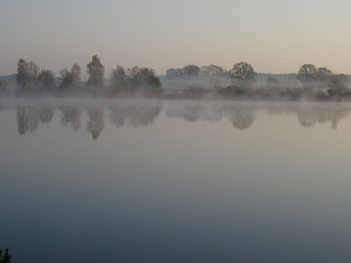 Morgennebel