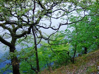 Seefrühling