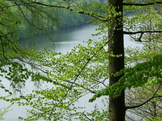 Edersee im Frühling