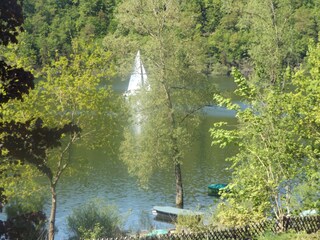 Blick vom Haus auf den See