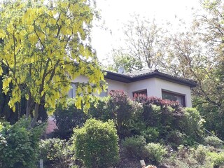 Haus im Frühling