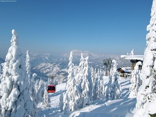 Chalet St. Johann im Pongau Umgebung 27