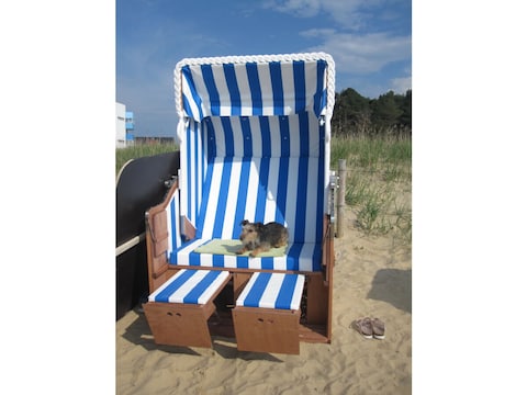 Ferienwohnung Hund und Meer
