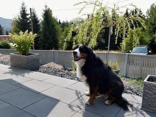 Casa per le vacanze Suhl Registrazione all'aperto 5