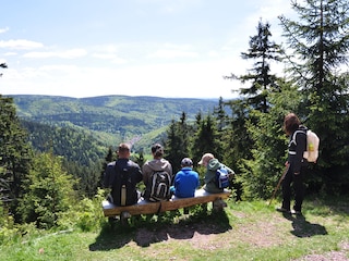 Wandern bei Goldlauter-Heidersbach