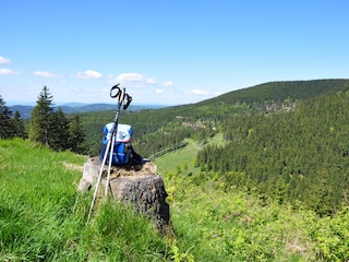 Landschaft bei Goldlauter-Heidersbach