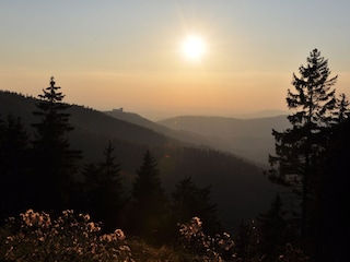 Abendstimmung im Thüringer Wald