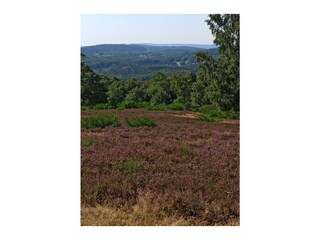 Apartamento de vacaciones Großalmerode Entorno 33