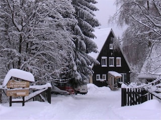 Ferienhaus Braunlage Außenaufnahme 4