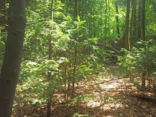 Ferienhaus Braunlage Umgebung 40