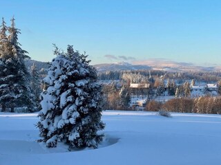 Vakantiehuis Braunlage Omgeving 35