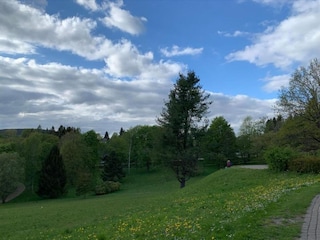 Ferienhaus Braunlage Umgebung 36