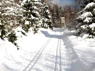 Maison de vacances Braunlage Environnement 31