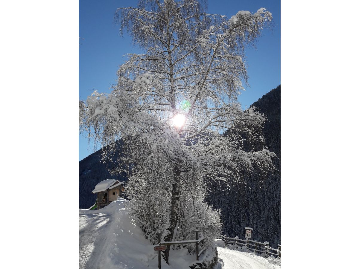 Wintersonne