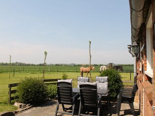 Casa per le vacanze Oostkapelle Registrazione all'aperto 4