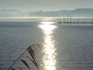 der Morgen am Plauer See