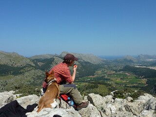 Casa per le vacanze Pollensa Ambiente 39