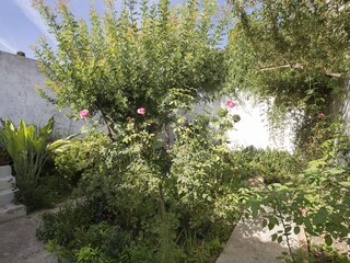 Casa de vacaciones Pollensa Grabación al aire libre 5