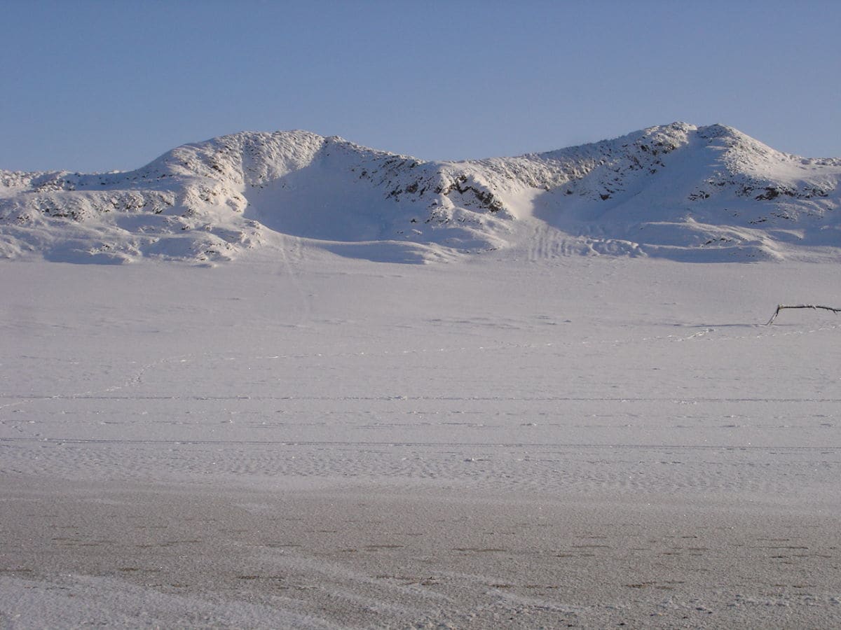 Holländische Dünen im Winter