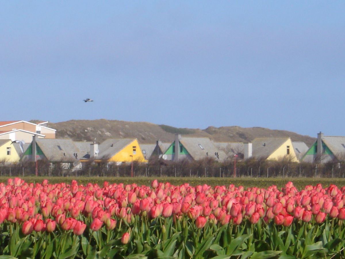 Blick auf Park Strandslag im Frühjahr