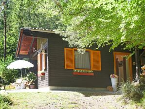 Gemütliches Chalet in Molln mit Garten - St. Pankraz (Oberösterreich) - image1