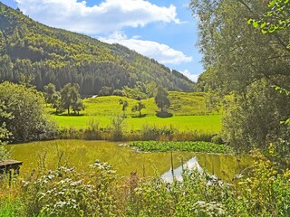 Chalet St. Pankraz (Oberösterreich) Entorno 18
