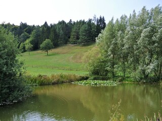 Chalet St. Pankraz (Oberösterreich) Environnement 20