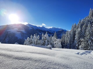 Alpenhut Rauris Buitenaudio-opname 5
