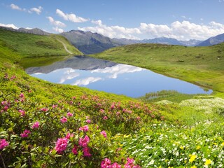 Capanna alpina Rauris Ambiente 35