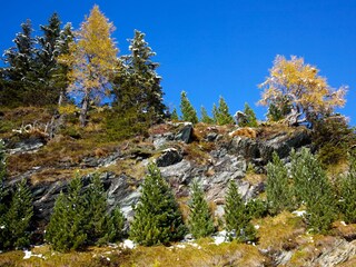 Herbstimpressionen