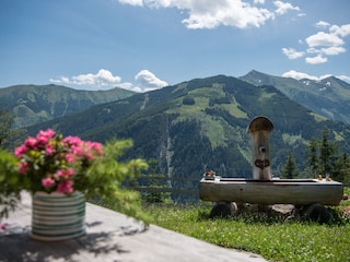 Alpenhut Rauris Buitenaudio-opname 6