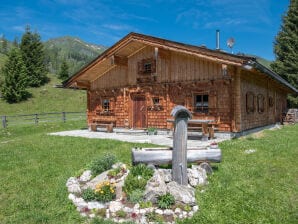 Alpine hut Eckhausalm - Rauris - image1