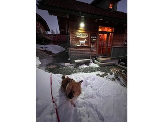 Ferienhaus Falkertsee Außenaufnahme 7