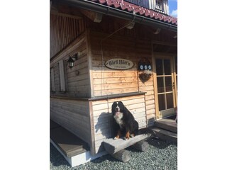 Ferienhaus Falkertsee Außenaufnahme 4