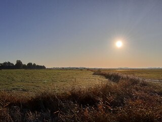 Appartement de vacances Pewsum Environnement 31