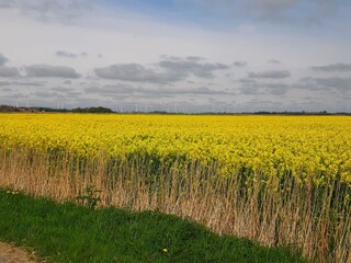 Vakantieappartement Pewsum Omgeving 30