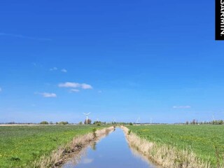 Vakantieappartement Pewsum Omgeving 32