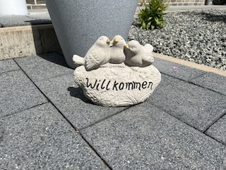 Appartement de vacances Pewsum Équipement 24